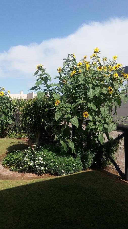 ولفس بي Sunflower Self-Catering المظهر الخارجي الصورة