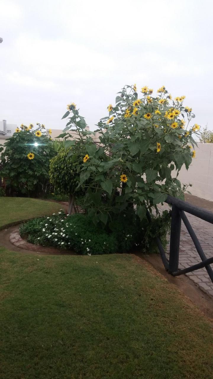 ولفس بي Sunflower Self-Catering المظهر الخارجي الصورة